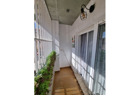 Rynek Wtórny - Apartament - Torrevieja - La Mata pueblo