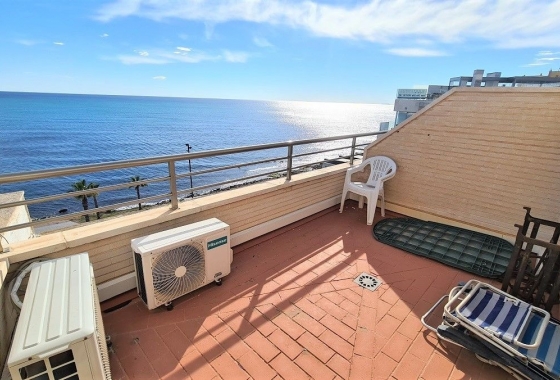 Rynek Wtórny - Apartament - Torrevieja - Playa del Cura