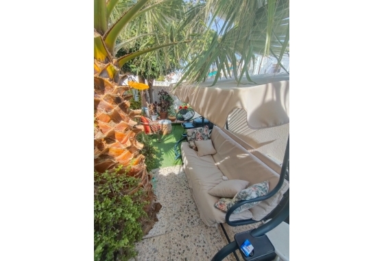 Rynek Wtórny - Bungalow - Torrevieja - Torrevieja - Playa de los Locos