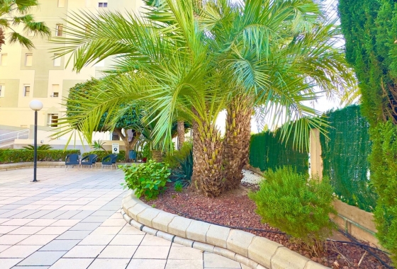 Rynek Wtórny - Apartament - Torrevieja - Playa del Cura