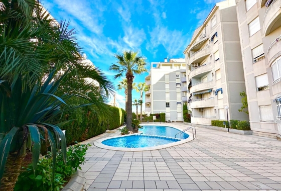 Rynek Wtórny - Apartament - Torrevieja - Playa del Cura