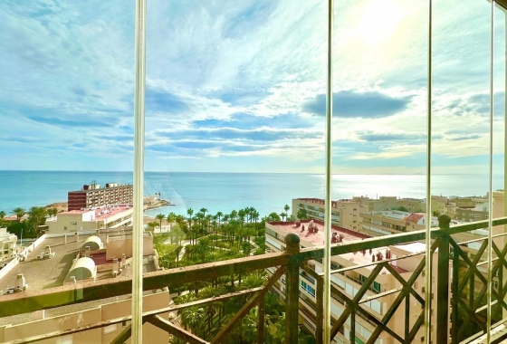 Rynek Wtórny - Apartament - Torrevieja - Playa de los Locos