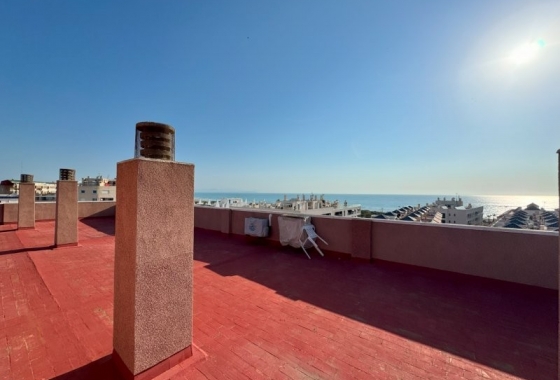 Rynek Wtórny - Apartament - Torrevieja - La Mata pueblo