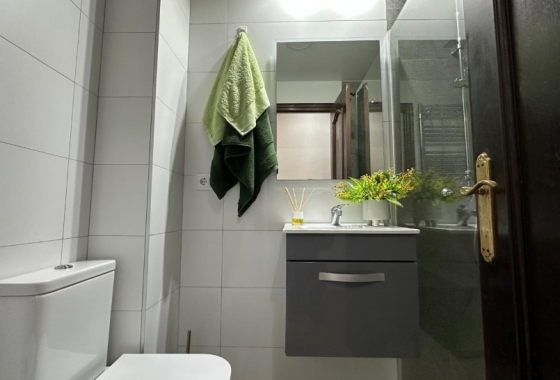 Rynek Wtórny - Apartament - Torrevieja - Torrevieja - Playa del Cura