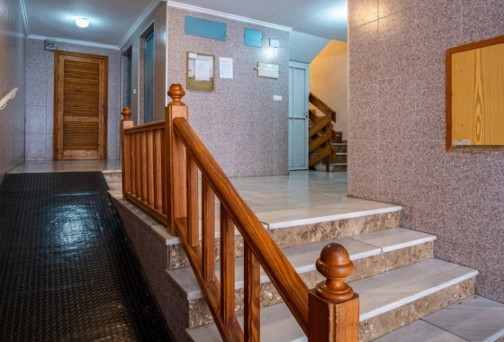 Rynek Wtórny - Studio - Torrevieja - Centrum