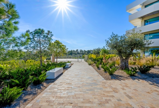 Rynek Wtórny - Apartament - Orihuela Costa - Las Colinas Golf