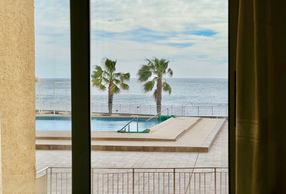 Rynek Wtórny - Apartament - Torrevieja - Torrevieja - Playa del Cura