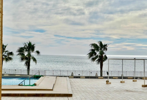 Rynek Wtórny - Apartament - Torrevieja - Torrevieja - Playa del Cura