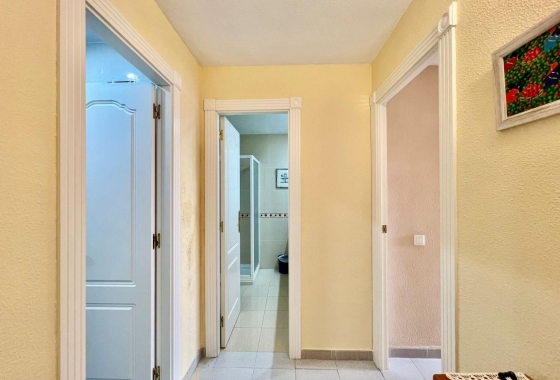 Rynek Wtórny - Apartament - Torrevieja - Torrevieja - Playa del Cura