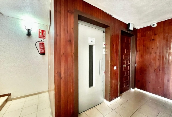 Rynek Wtórny - Apartament - Torrevieja - Torrevieja - Playa del Cura