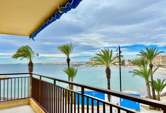 Rynek Wtórny - Apartament - Torrevieja - Torrevieja - Playa del Cura