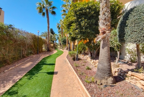 Rynek Wtórny - Apartament - Punta Prima