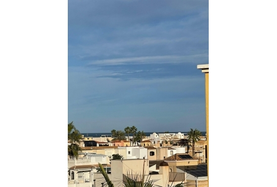 Rynek Wtórny - Apartament - Torrevieja - Torrevieja - Playa de los Locos