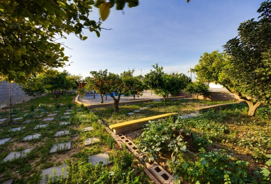 Rynek Wtórny - Willa - Los Montesinos - La Herrada