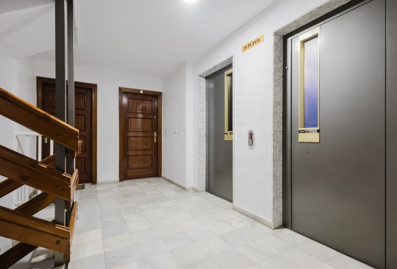 New Build - Apartment / flat - Torrevieja - Playa de La Acequion