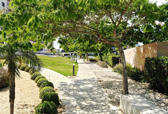 Rynek Wtórny - Apartament - Pilar de la Horadada - TORRE DE LA HORADADA