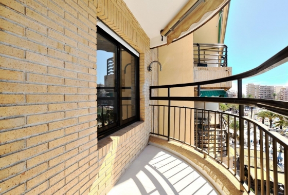 Rynek Wtórny - Apartament - Torrevieja - Torrevieja - Playa del Cura