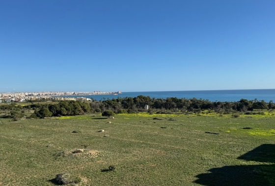 Rynek Wtórny - Apartament - Orihuela Costa - Punta Prima