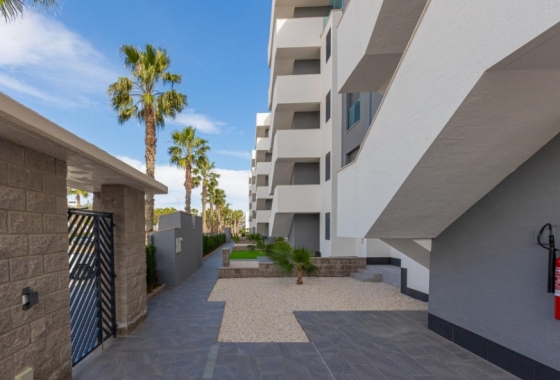 Rynek Wtórny - Apartament - El Raso