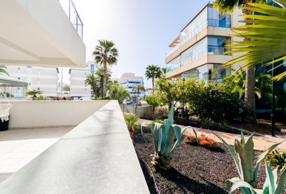 Rynek Wtórny - Apartament - Orihuela Costa - Los Dolses