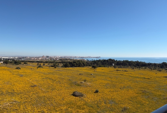 Rynek Wtórny - Apartament - Orihuela Costa - Punta Prima