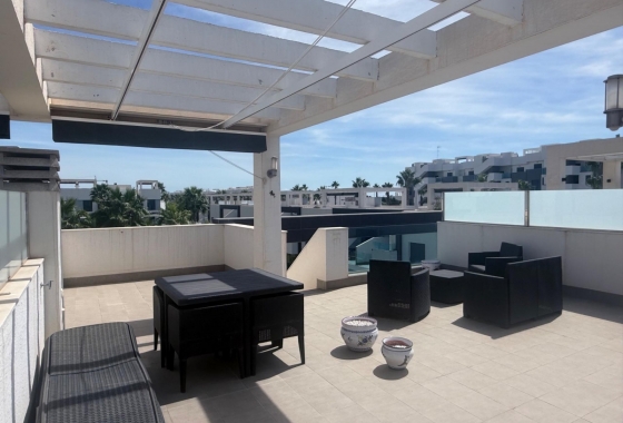 Rynek Wtórny - Bungalow - El Raso