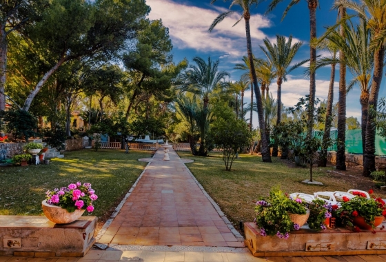 Rynek Wtórny - Pałac - Denia - Las Rotas - Les Rotes