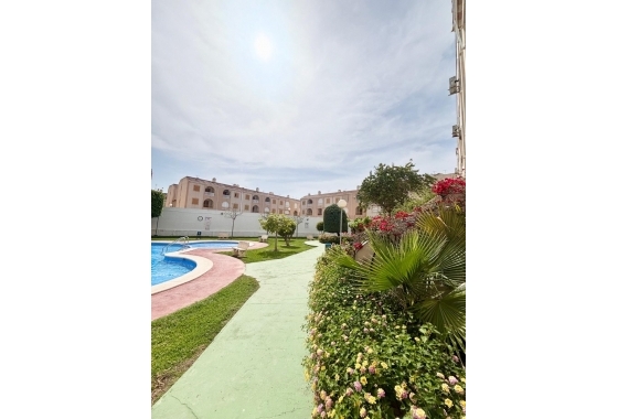 Rynek Wtórny - Apartament - Torrevieja - Playa Acequion