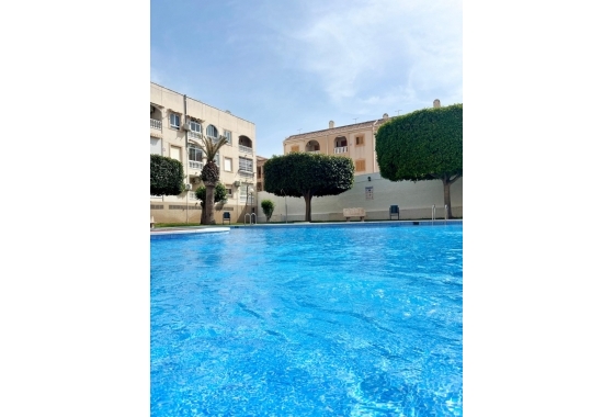 Rynek Wtórny - Apartament - Torrevieja - Playa Acequion