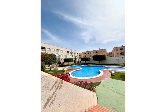 Rynek Wtórny - Apartament - Torrevieja - Playa Acequion