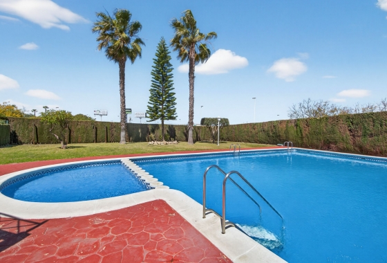 Rynek Wtórny - Apartament - Torrevieja - Parque de Las Naciones