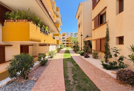 Rynek Wtórny - Apartament - Torrevieja - Punta prima