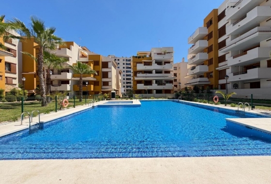 Rynek Wtórny - Apartament - Torrevieja - Punta prima