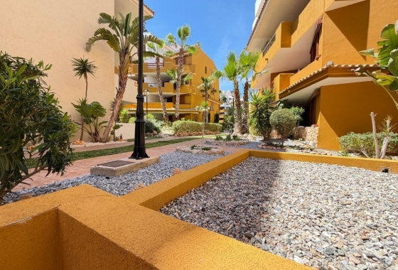 Rynek Wtórny - Apartament - Torrevieja - Punta prima