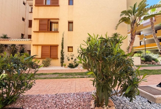 Rynek Wtórny - Apartament - Torrevieja - Punta prima