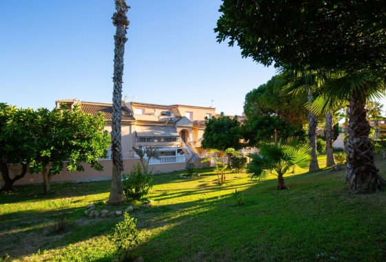 Rynek Wtórny - Apartament - Torrevieja - Torreblanca