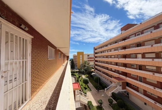 Rynek Wtórny - Apartament - Torrevieja - Punta prima