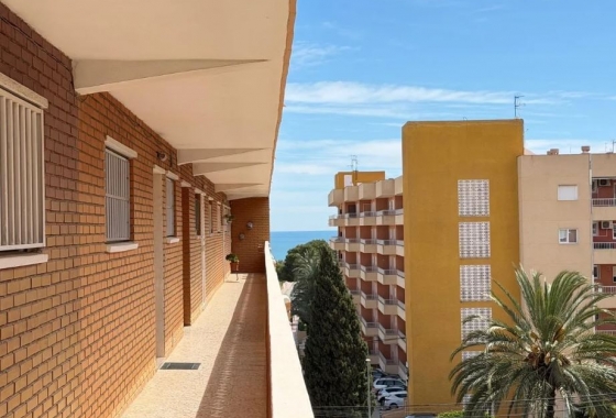 Rynek Wtórny - Apartament - Torrevieja - Punta prima