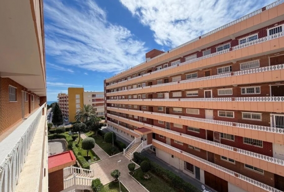 Rynek Wtórny - Apartament - Torrevieja - Punta prima