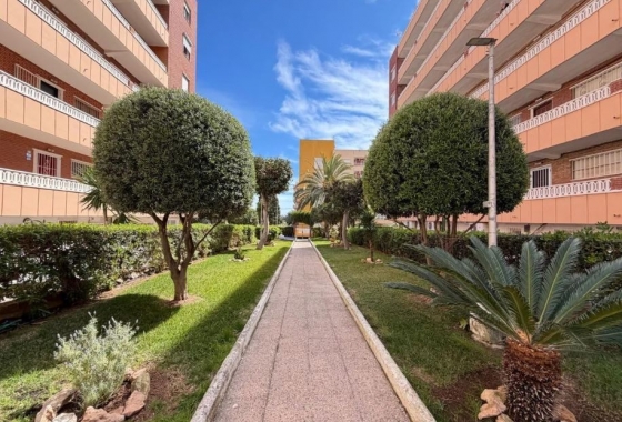 Rynek Wtórny - Apartament - Torrevieja - Punta prima