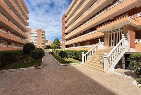 Rynek Wtórny - Apartament - Torrevieja - Punta prima