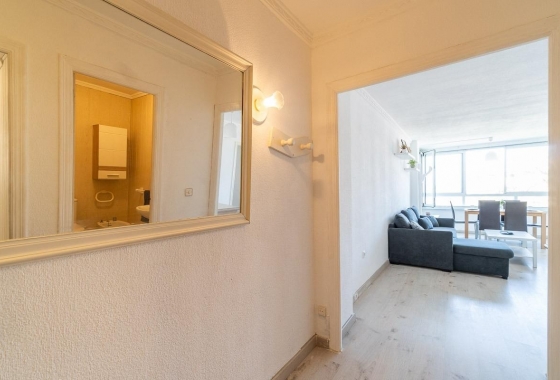 Rynek Wtórny - Apartament - Torrevieja - Punta prima