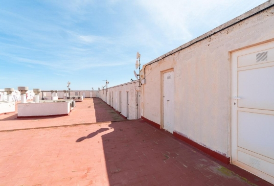 Rynek Wtórny - Apartament - Torrevieja - Punta prima
