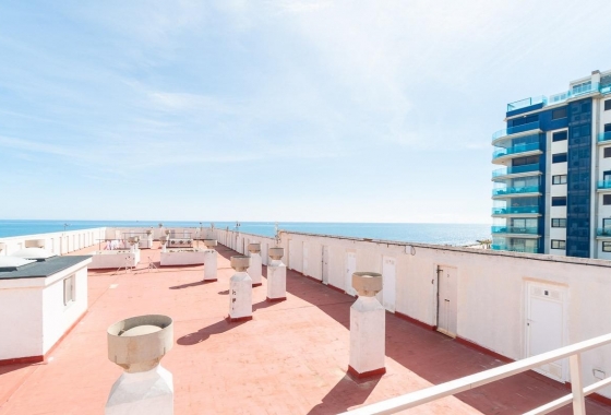Rynek Wtórny - Apartament - Torrevieja - Punta prima