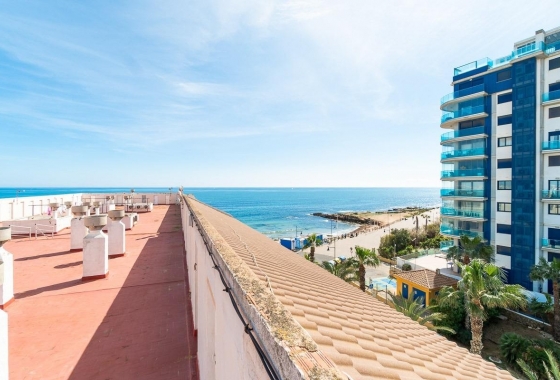 Rynek Wtórny - Apartament - Torrevieja - Punta prima
