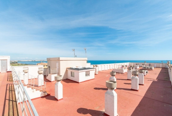 Rynek Wtórny - Apartament - Torrevieja - Punta prima