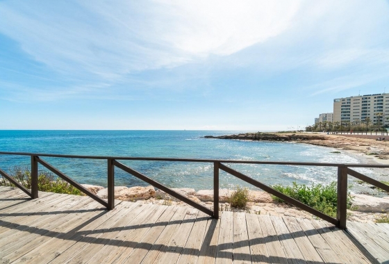 Rynek Wtórny - Apartament - Torrevieja - Punta prima