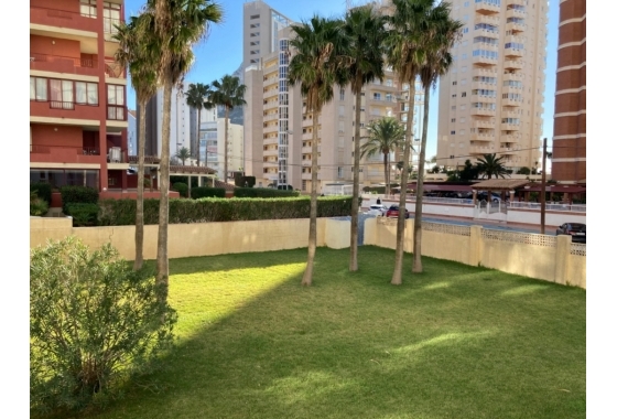 Resale - Apartment / flat - Calpe - Zona Playa del Bol - Puerto