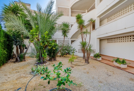 Rynek Wtórny - Apartament - Altea