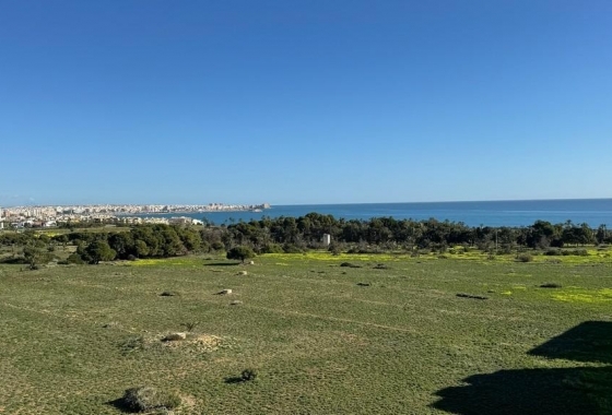 Rynek Wtórny - Apartament - Torrevieja - Punta prima